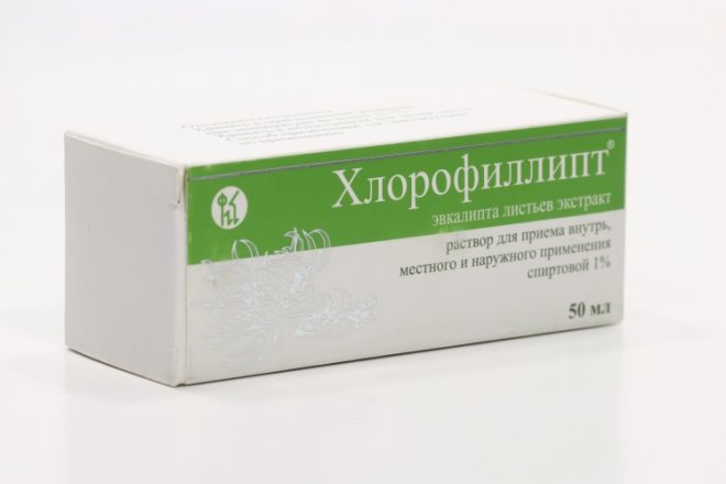 Хлорофиллипт 1 %, 50 мл, раствор для приема внутрь и местного ...