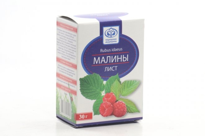 Листья Малины Купить