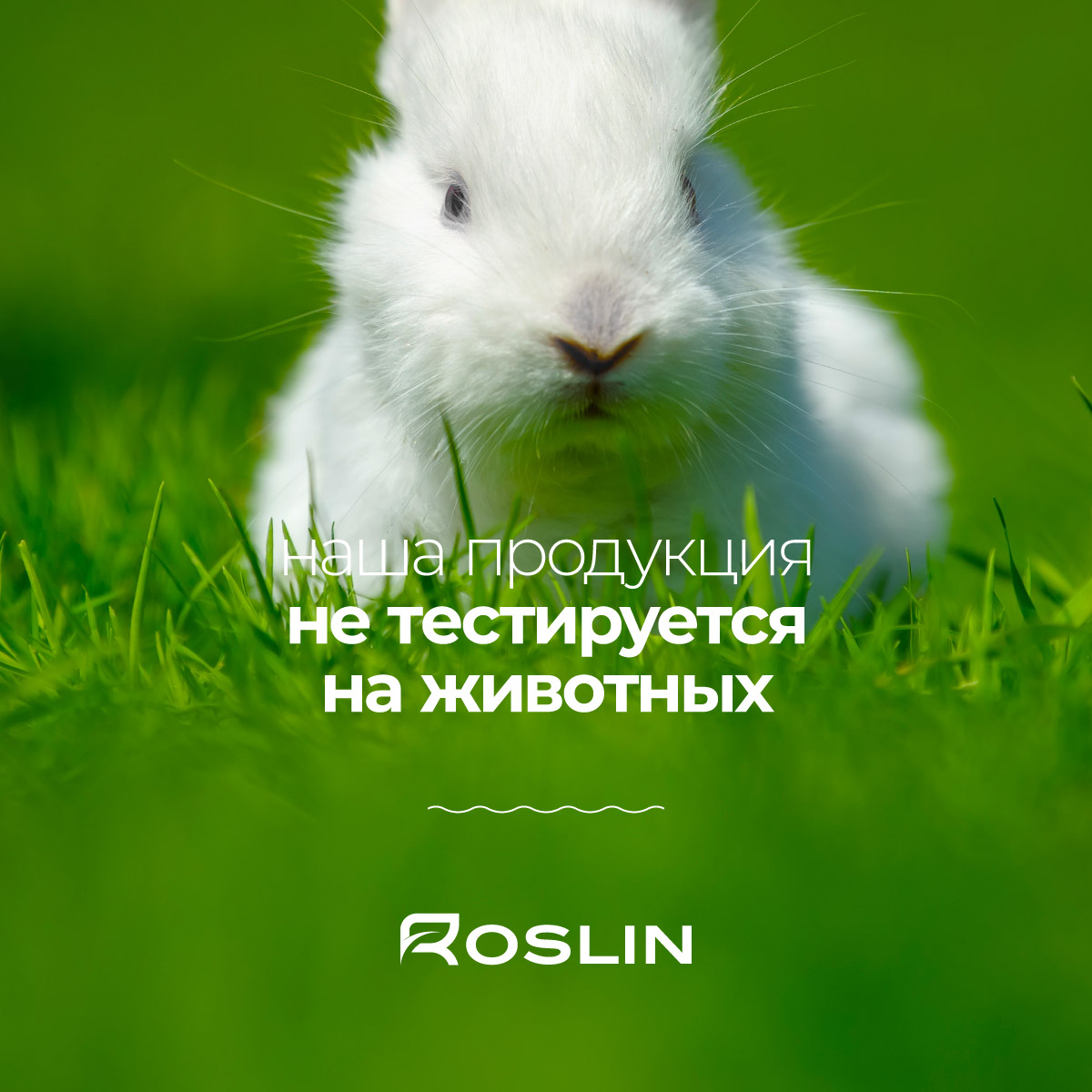 Бальзам ополаскиватель для всех типов волос Roslin 1л с дозатором "Питание и увлажнение"