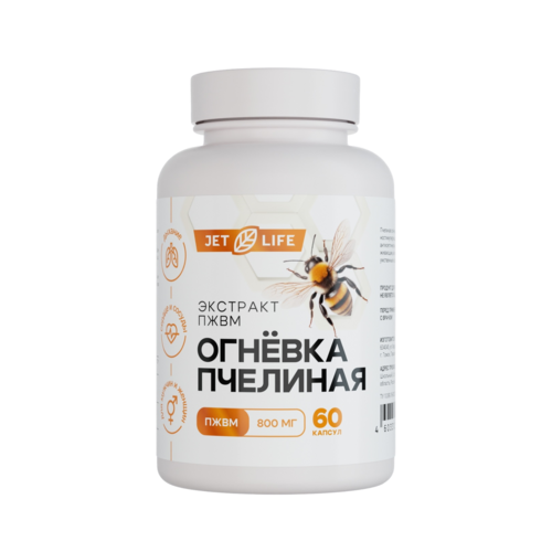 Огнёвка пчелиная ПЖВМ, 60 капсул, Jetlife