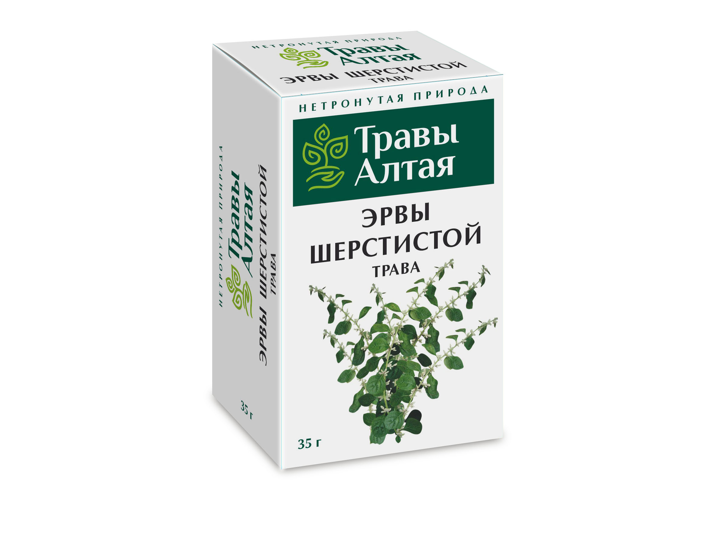 Эрвы шерстистой трава серии Алтай, 35 г – купить по цене 64 руб. в  интернет-магазине Аптеки Плюс в Стерлитамаке