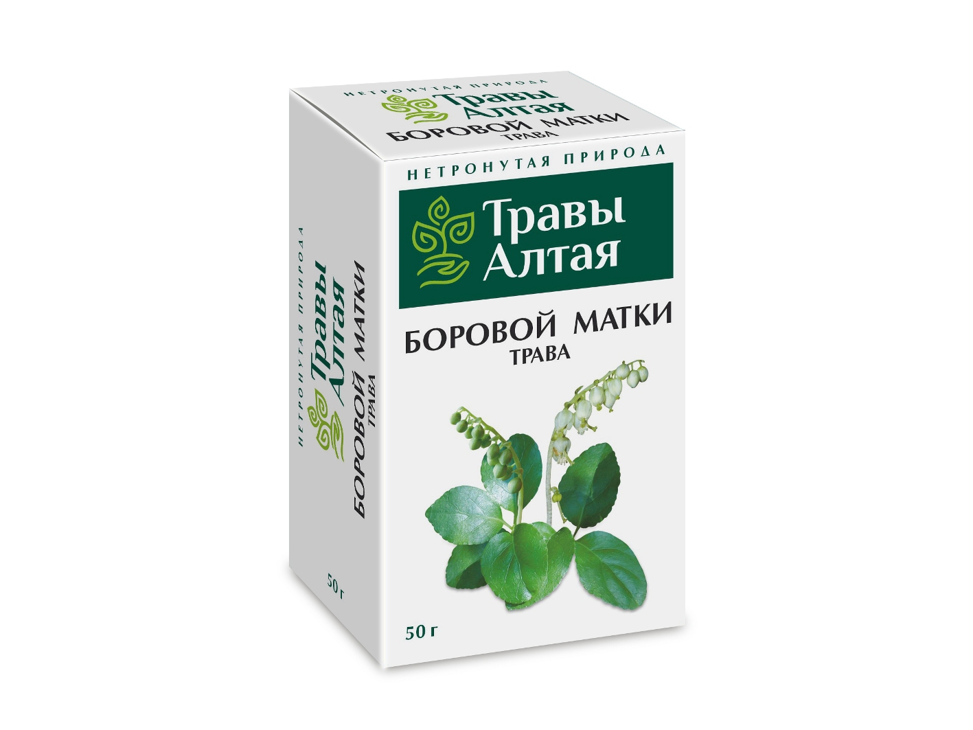 Боровая матка (Ортилия однобокая) трава серии Алтай, 50 г