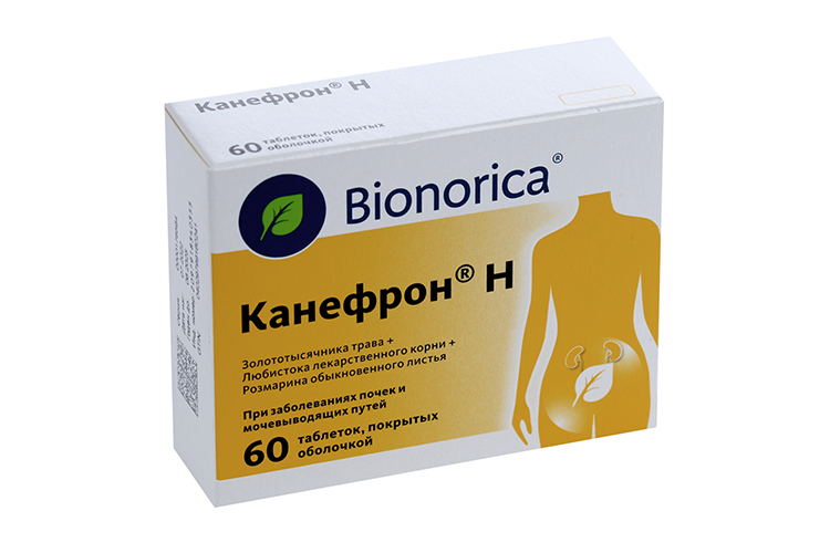 Канефрон Н, 60 шт, таблетки покрытые оболочкой – купить по цене 648 руб ...