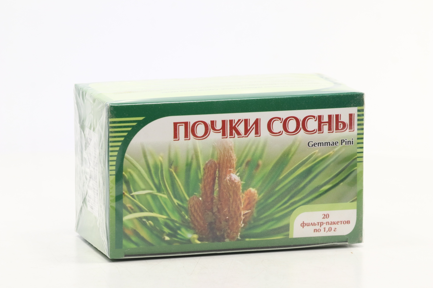 Купить Почку Сосны Оптом