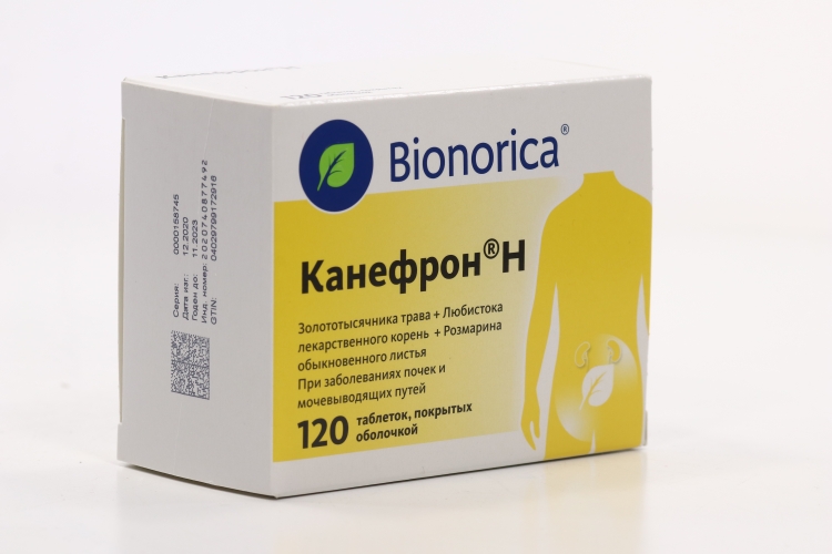 Канефрон Н, 120 шт, таблетки покрытые оболочкой – купить по цене 1271 ...