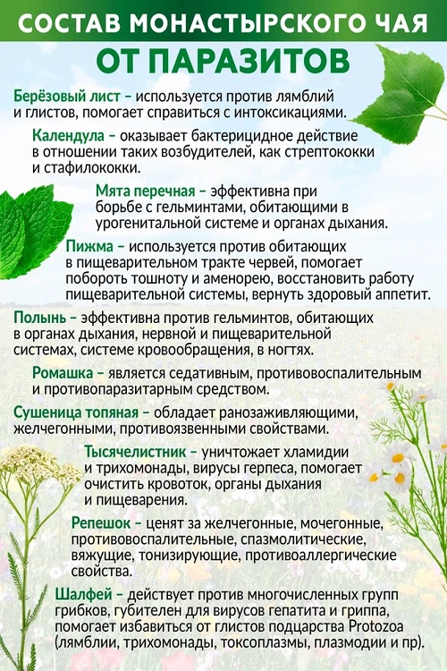 Чай Монастырский сбор от паразитов Natureka сбор трав 100грамм сырье растит измельч x1
