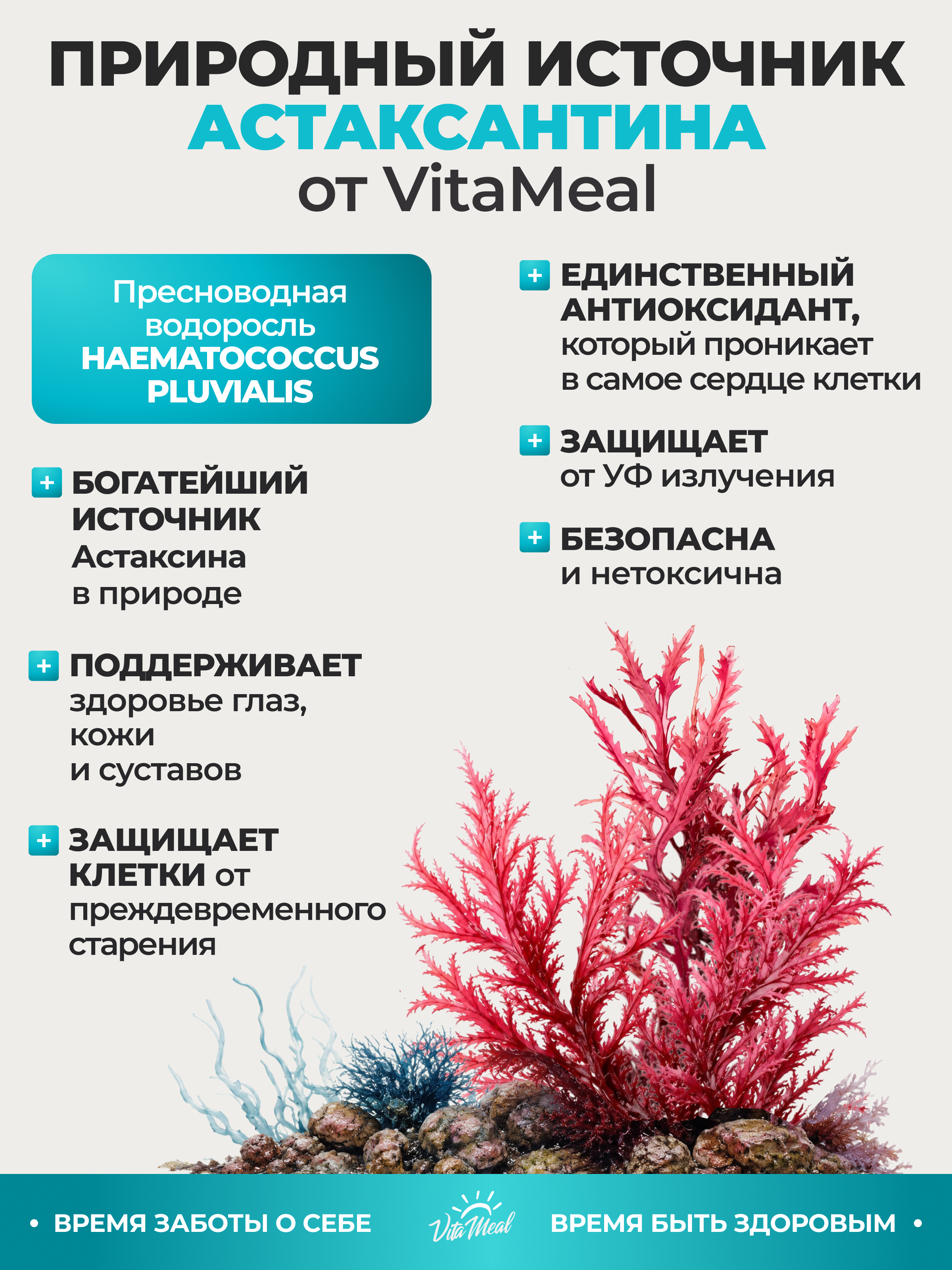 Астаксантин 3 мг VitaMeal для здоровья глаз, молодости и упругости кожи, 90 таблеток