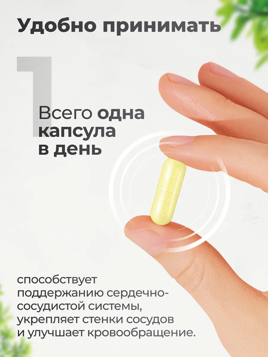 Рутин 100 мг, для сердца и сосудов, 90 капсул, VitaMeal